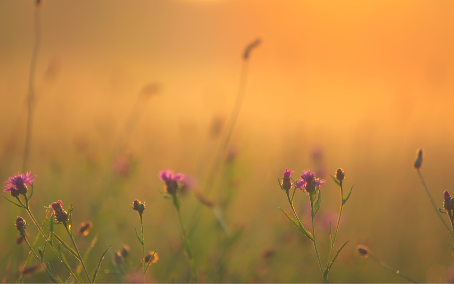 candle making spring summer trends 2023