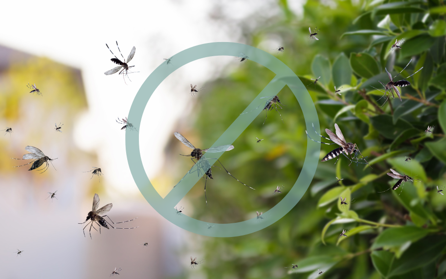 DIY Essential Oil Repellent Spray for Mosquitoes, Ticks and Fleas