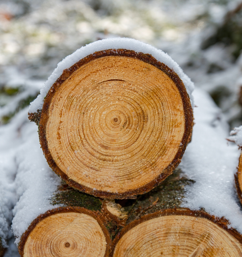 Three snow covered logs stacked on one another as a visual representation of Cedar Bark & Spice Fragrance Oil available at Village Craft and Candle || Trois bûches enneigées empilées les unes sur les autres comme représentation visuelle de l'huile parfumée d'écorce de cèdre et d'épices disponible chez Village Craft and Candle.