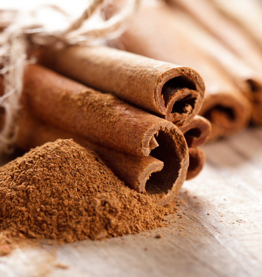 Bundle of cinnamon sticks wrapped in twine as a visual representation of Cinnamon Fragrance Oil available at Village Craft and Candle