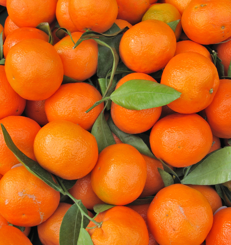 Bushel of clementines as a visual representation of Clementine Fragrance Oil available at Village Craft and Candle || Boisseau de clémentines comme représentation visuelle de l'huile parfumée de clémentine disponible chez Village Craft and Candle