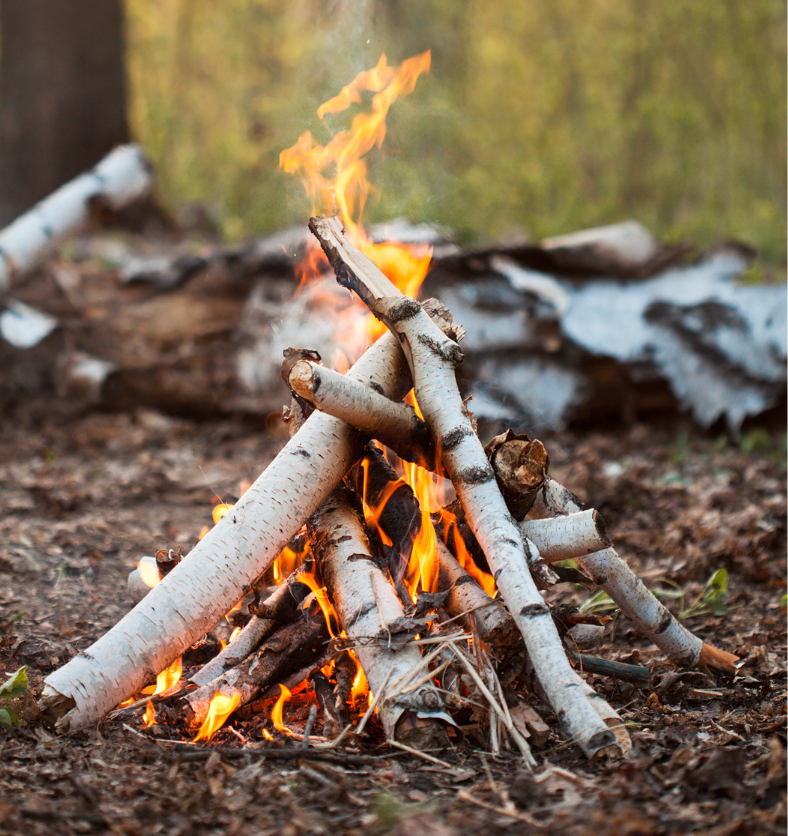 Small fire burning with birch logs in a forest as a visual representation of Crackling Birch Fragrance Oil available at Village Craft and Candle || Petit feu brûlant avec des bûches de bouleau dans une forêt comme représentation visuelle de l'huile parfumée de bouleau crépitant disponible chez Village Craft and Candle