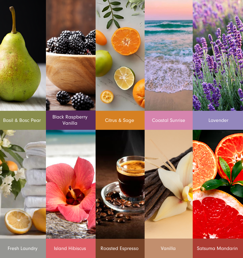 Collage of ten colourful enticing images as a visual representation of Best Sellers Fragrance Explore Kit available at Village Craft and Candle || Collage de dix images colorées et attrayantes comme représentation visuelle du kit d'exploration de parfums les plus vendus disponible chez Village Craft and Candle.
