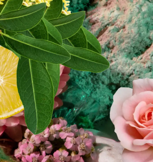 Fleurs et plants d'agrumes dans un éclairage bleu comme représentation visuelle du mélange d'huiles essentielles d'agrumes floraux disponible chez Village Craft and Candle