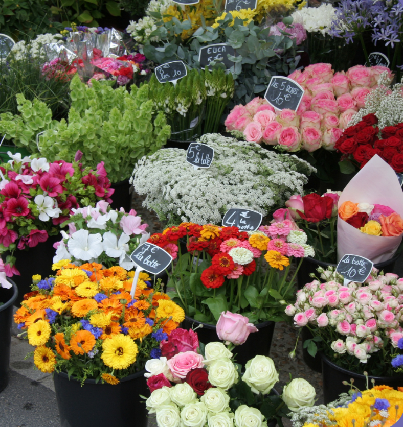 Collection of flowers on sale in a market as a visual representation of Flower Market Fragrance Oil available at Village Craft and Candle || Collection de fleurs en vente sur un marché comme représentation visuelle de l'huile parfumée du marché aux fleurs disponible chez Village Craft and Candle