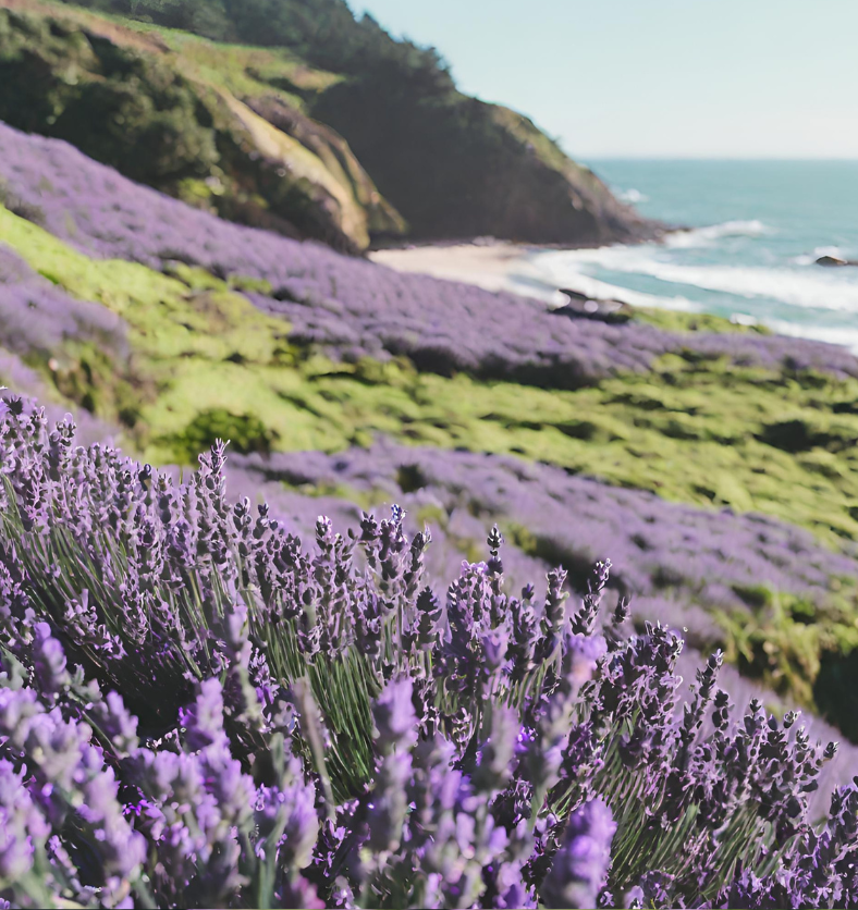 Hillside covered in lavender & moss overlooking water as a visual representation of Forrest Hill Fragrance Oil available at Village Craft and Candle || Flanc de colline recouvert de lavande et de mousse surplombant l'eau comme représentation visuelle de l'huile parfumée Forrest Hill disponible chez Village Craft and Candle