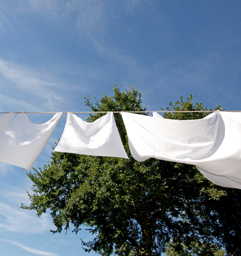 White linens on a clothesline with a large tree and clear blue sky in the background as a visual representation of Fresh Linen Fragrance Oil available at Village Craft and Candle || Draps blancs sur une corde à linge avec un grand arbre et un ciel bleu clair en arrière-plan comme représentation visuelle de l'huile parfumée de lin frais disponible chez Village Craft and Candle