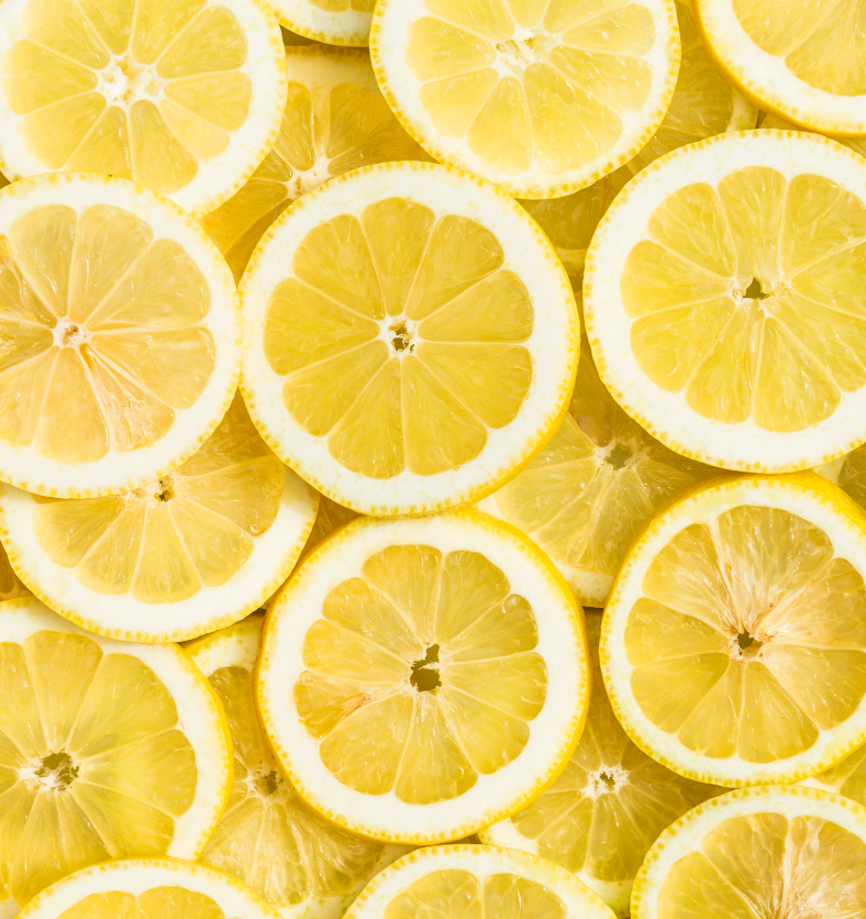Array of lemon slices as a visual representation of Argentina Lemon Essential Oil available at Village Craft and Candle || Tableau de tranches de citron comme représentation visuelle de l'huile essentielle de citron d'Argentine disponible chez Village Craft and Candle