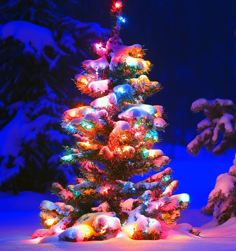 Lone christmas tree with lights in a snowy forest as a visual representation of O'Christmas Tree Fragrance Oil available at Village Craft and Candle || Arbre de Noël solitaire avec des lumières dans une forêt enneigée comme représentation visuelle de l'huile parfumée O'Christmas Tree disponible chez Village Craft and Candle