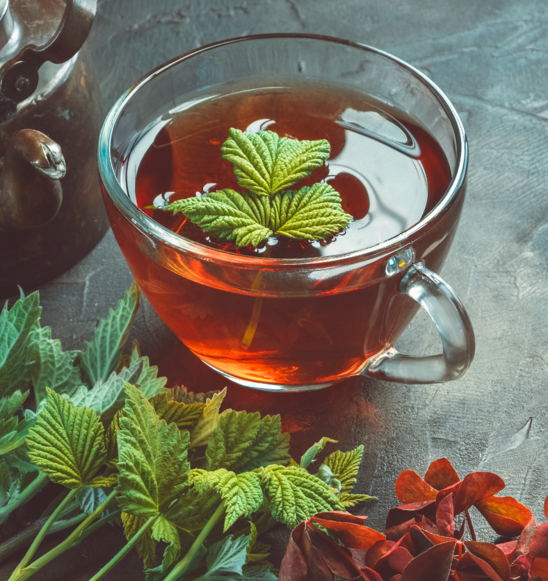 Black teapot with mint leaves near as a visual representation of India Peppermint Essential Oil available at Village Craft and Candle || Théière noire avec des feuilles de menthe à proximité comme représentation visuelle de l'huile essentielle de menthe poivrée de l'Inde disponible chez Village Craft and Candle