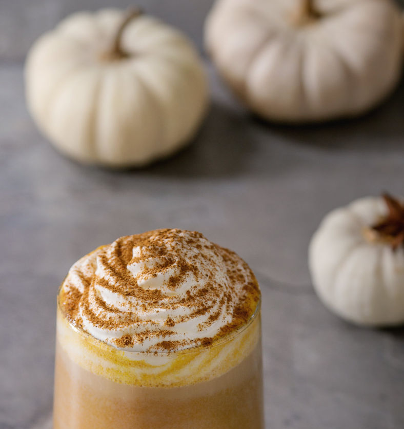 Three white pumpkins with a Pumpkin Oatmilk Chai in the foreground as a visual representation of Pumpkin Oatmilk Chai Fragrance Oil available at Village Craft and Candle || Trois citrouilles blanches avec un Chai au lait d'avoine et à la citrouille au premier plan comme représentation visuelle de l'huile parfumée Chai au lait d'avoine et à la citrouille disponible chez Village Craft and Candle.