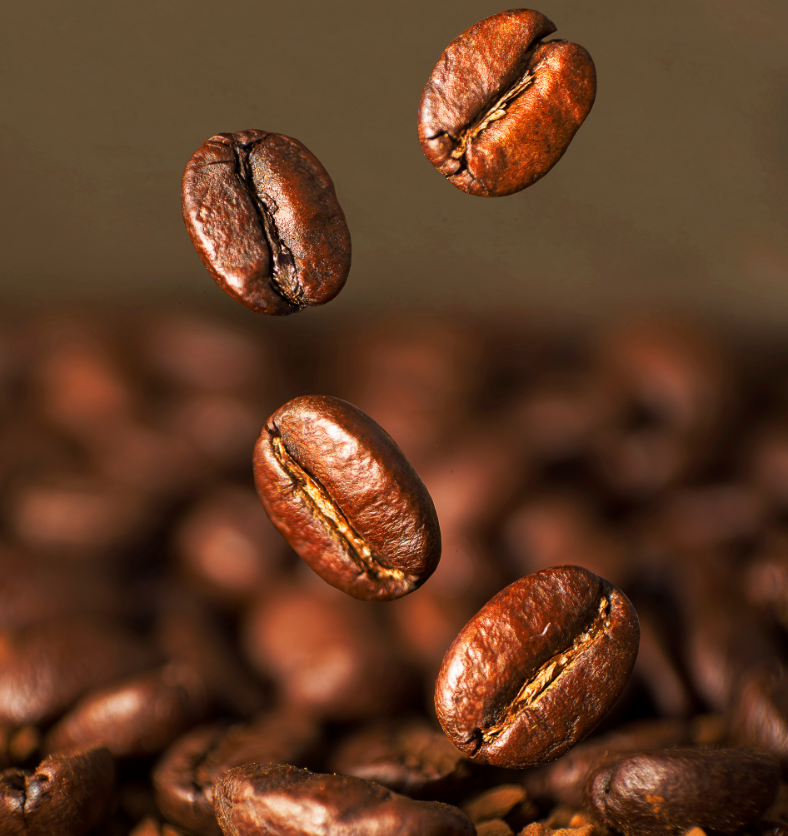 A few coffee beans dropping into pile of roasted beans as a visual representation of Roasted Java Fragrance Oil available at Village Craft and Candle || Quelques grains de café tombant dans un tas de grains torréfiés comme représentation visuelle de l'huile parfumée Roasted Java disponible chez Village Craft and Candle.