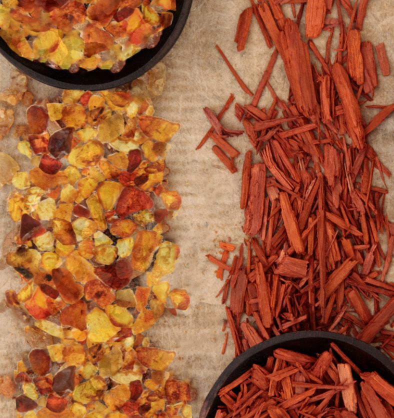 Thick line of amber pieces & a thick line of sandalwood pieces as a visual representation of Sandalwood Amber Fragrance Oil available at Village Craft and Candle || Ligne épaisse de morceaux d'ambre et une ligne épaisse de morceaux de bois de santal comme représentation visuelle de l'huile parfumée d'ambre de bois de santal disponible chez Village Craft and Candle.