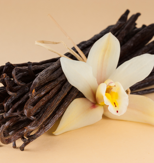 Gousses de vanille avec une fleur de vanille comme représentation visuelle de l'huile parfumée à la vanille disponible chez Village Craft and Candle