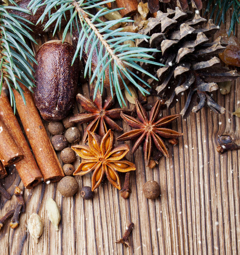 Clove bud, cinnamon sticks, & fir needles as a visual representation of Victorian Christmas Fragrance Oil available at Village Craft and Candle || Bourgeon de girofle, bâtons de cannelle et aiguilles de sapin comme représentation visuelle de l'huile parfumée de Noël victorienne disponible chez Village Craft and Candle