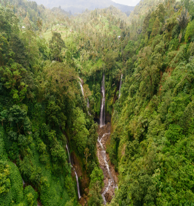 Aerial view of a forest with a waterfall & river running through it. as a visual representation of Clean Terrain Fragrance Oil available at Village Craft and Candle || Vue aérienne d'une forêt traversée par une cascade et une rivière. comme représentation visuelle de l'huile parfumée Clean Terrain disponible chez Village Craft and Candle