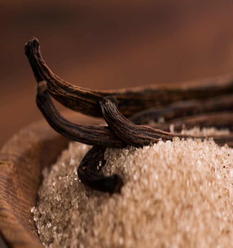 Close up of vanilla beans on a bed of coarse sugar as a visual representation of Warm Vanilla Sugar Fragrance Oil available at Village Craft and Candle || Gros plan de gousses de vanille sur un lit de sucre grossier comme représentation visuelle de l'huile parfumée au sucre vanillé chaud disponible chez Village Craft and Candle