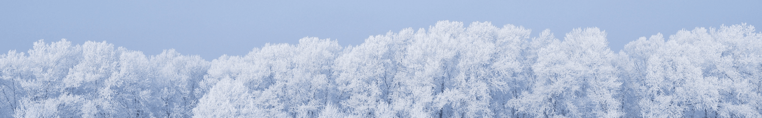 Winter Catalogue