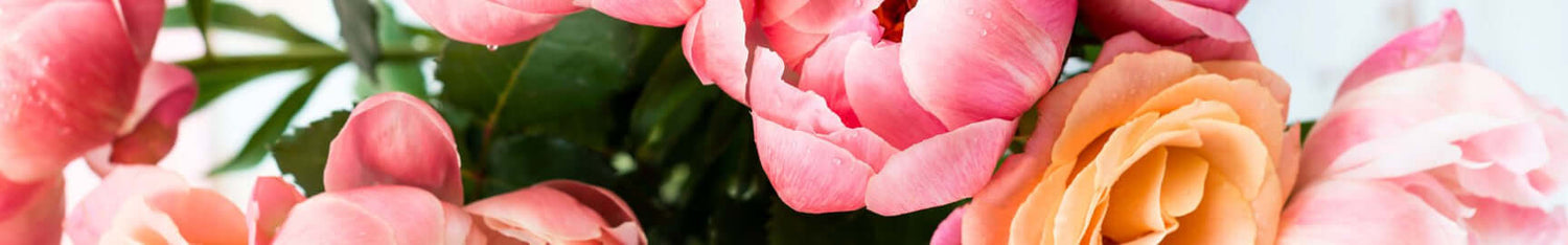 Floral Fragrances