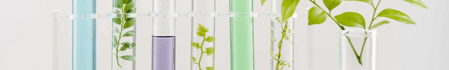 Paraben Free