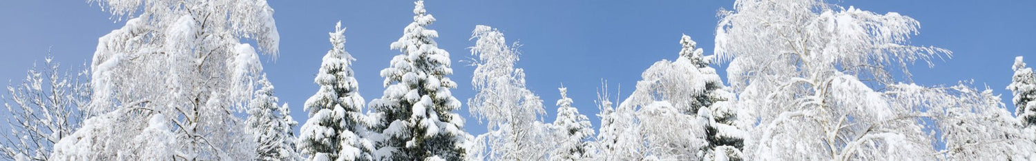 Winter and Holiday Fragrances