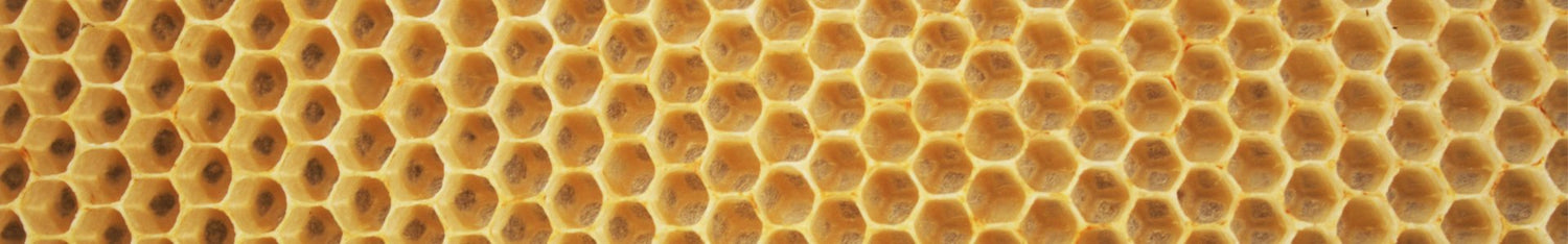 beeswax