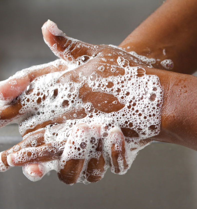 Hand washing with rich lather from liquid soap base. || Main lavée avec une mousse abondante provenant d’une base de savon liquide.
