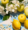 An image of lemons, jasmine petals, & apples to represent the Village Craft & Candle Blue Sky Fragrance Oil | Une image de citrons, de pétales de jasmin et de pommes pour représenter l'huile de parfum Blue Sky de Village Craft & Candle.