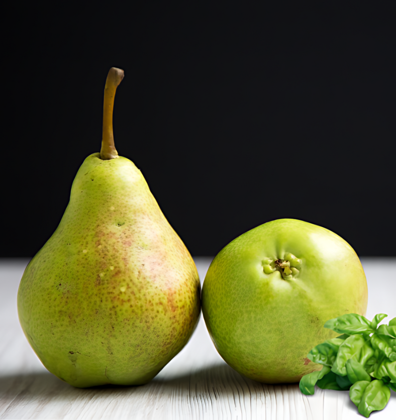 Two pears next to leaves of basil as a visual representation of Basil and Bosc Pear Fragrance Oil available at Village Craft and Candle || Deux poires à côté de feuilles de basilic comme représentation visuelle de l'huile parfumée de basilic et de poire Bosc disponible chez Village Craft and Candle