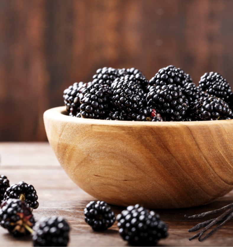 Bowl of Blackberries next to vanilla beans as a visual representation of Black Raspberry Vanilla Fragrance Oil available at Village Craft and Candle || Bol de mûres à côté de gousses de vanille comme représentation visuelle de l'huile parfumée à la vanille et à la framboise noire disponible chez Village Craft and Candle