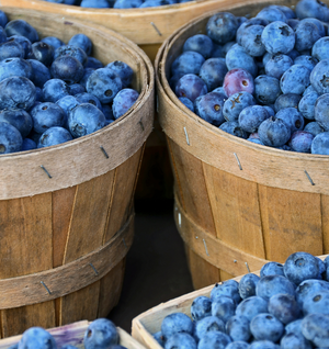 Blueberry - Fragrance Oil