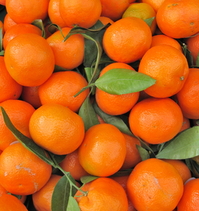  Clementine Fragrance Oil (Freshly Peeled Sweet Orange) for Candle Making || Huile de parfum de clémine (orange sucré fraîchement pelé) pour la fabrication de bougies