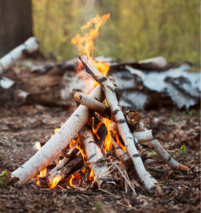 Crackling Birch Fragrance Oil (Smells like simmering potpourri) for Candle Making || Huile de parfum de bouleau crépitant (sent comme le pot-pourri mijotant) pour la fabrication de bougies