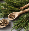 Rosemary and cardamon on a marble countertop as a visual representation of Cypress & Cardamom EmotiScents (Relaxing) Fragrance Oil available at Village Craft and Candle || Romarin et cardamome sur un comptoir en marbre comme représentation visuelle de l'huile parfumée EmotiScents (relaxante) de cyprès et de cardamome disponible chez Village Craft and Candle