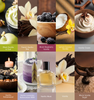Vanilla Fragrance Explore Kit: A grid of 10 scent profiles including Lavender Buttercream, Oud, Musk, and Lemon Coconut. || Trousse de parfums à la vanille : 10 fragrances, dont crème au beurre et lavande, bois de braise, musc et citron coco.