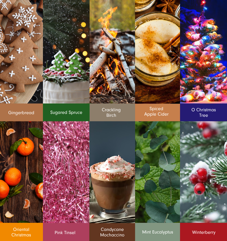 Kit d'exploration des parfums d'hiver