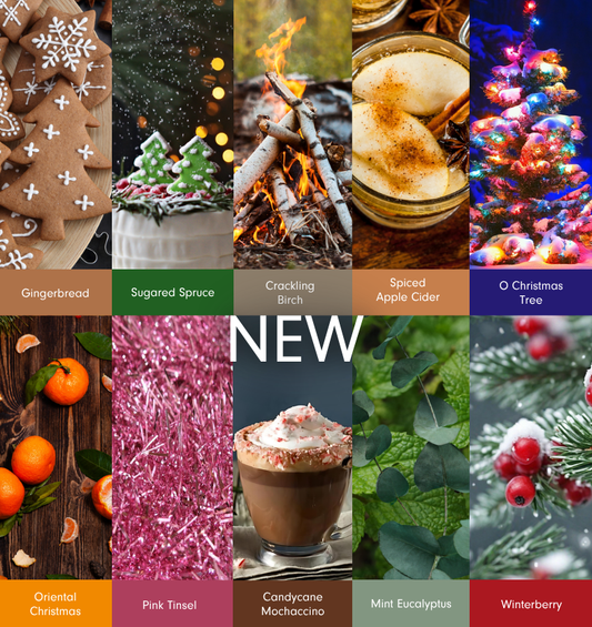 Winter Fragrance Explore Kit