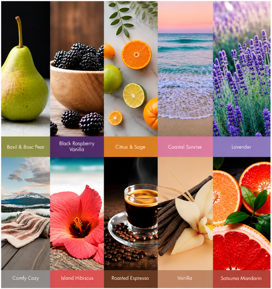 A 3x3 grid of warm-toned fragrance notes with labeled text at the bottom: Basil & Boic Pear, Black Raspberry Vanilla, Citus & Sage, Coastal Sunrise, Lavender, Comfy Cozy, Island Hibiscus, Roasted Espresso, Vanilla, and Satsuma Mandarin. Each tile shows a representative scent-related visual: pear, blackberries/oranges, citrus slices, beach waves, lavender field, blanket by ocean, hibiscus flower, espresso with vanilla, and citrus slices.