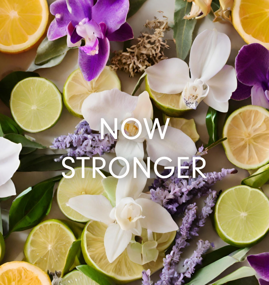  Image de tranches de citron, fleurs d'orchidée et brins de lavande pour représenter l'huile parfumée Savage de Village Craft & Candle