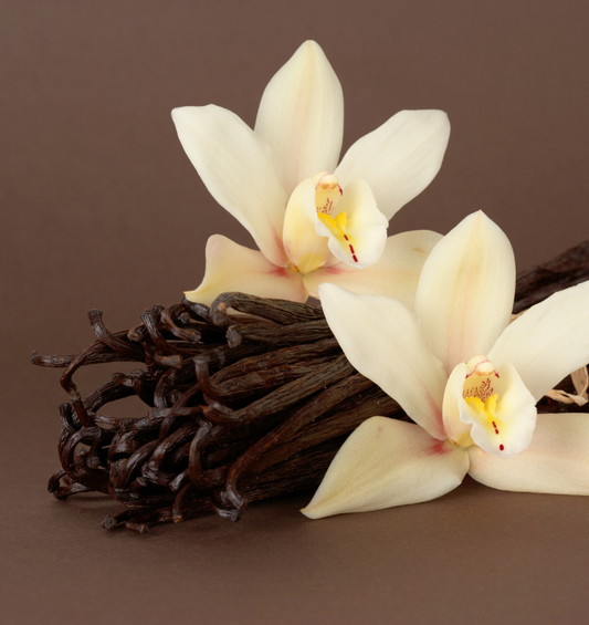  Gousses de vanille avec des fleurs blanches sur le dessus comme représentation visuelle de l'huile parfumée à la vanille française et au soja disponible chez Village Craft and Candle