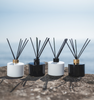 Image of black and white diffusers with gold and black lids to represent Village Craft & Candle's Lavish Diffuers from the Aromatics Collection. Diffusers are on a rock with a water in the background.  || Image de diffuseurs noirs et blancs avec des couvercles dorés et noirs pour représenter les diffuseurs Lavish de Village Craft & Candle de la collection Aromatiques. Les diffuseurs sont posés sur un rocher avec de l'eau en arrière-plan.