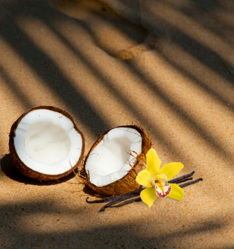 Coconut on a sandy beach with a vanilla blossom as a visual representation of Lemon Coconut Vanilla Fragrance Oil available at Village Craft and Candle || Noix de coco sur une plage de sable avec une fleur de vanille comme représentation visuelle de l'huile parfumée citron-noix de coco-vanille disponible chez Village Craft and Candle