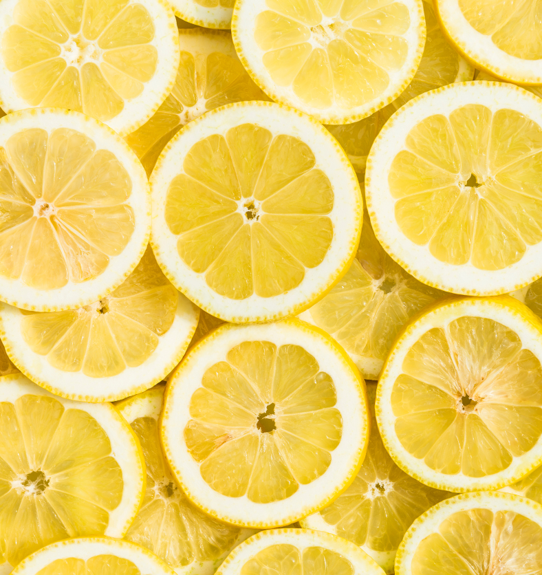 Array of lemon slices  as a visual representation of Argentina Lemon Essential Oil available at Village Craft and Candle || Tableau de tranches de citron comme représentation visuelle de l'huile essentielle de citron d'Argentine disponible chez Village Craft and Candle