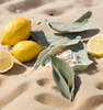 Image of lemons & salted sage on sand to represent Village Craft & Candle's Salted Sage & Woods Fragrance Oil | Image de citrons et de sauge salée sur le sable pour représenter l'huile parfumée Salted Sage & Woods de Village Craft & Candle