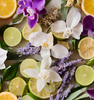 Image of sliced lemons, orchid blooms & lavender springs to represent Village Craft & Candle's Savage Fragrance Oil || Image de tranches de citron, fleurs d'orchidée et brins de lavande pour représenter l'huile parfumée Savage de Village Craft & Candle