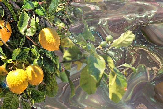  Rivière grise et brune chatoyante avec une branche de citrons sur la gauche comme représentation visuelle du mélange d'huiles essentielles Unwind disponible chez Village Craft and Candle