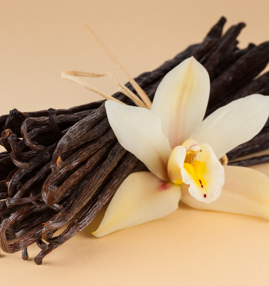 Vanilla beans with a vanilla flower as a visual representation of Vanilla Fragrance Oil available at Village Craft and Candle 