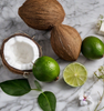 Coconut and limes on a granite countertop as a visual representation of Verbena Coco-Lime EmotiScents (Well Being) Fragrance Oil available at Village Craft and Candle || Noix de coco et citrons verts sur un comptoir en granit comme représentation visuelle de l'huile parfumée Verveine Coco-Lime EmotiScents (Bien-être) disponible chez Village Craft and Candle