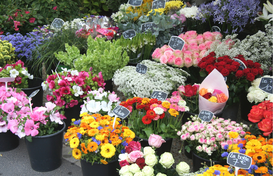  Collection de fleurs en vente sur un marché comme représentation visuelle de l'huile parfumée du marché aux fleurs disponible chez Village Craft and Candle