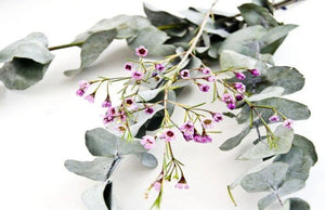Eucalyptus & French Lavender - Fragrance Oil for Candle Making || Eucalyptus et lavande française - Huile de parfum pour fabrication de bougies